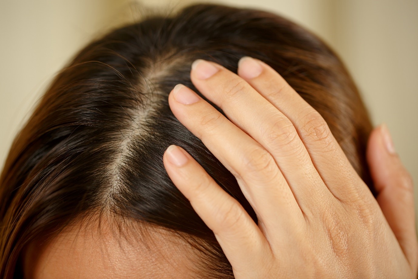 Best Hair Care Products in India (2026): Dermatologist-Backed Picks by Concern